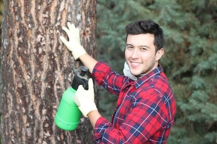a man is spraying a tree with a spray bottle .