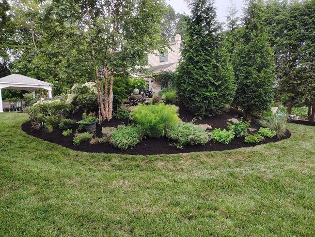 Backyard Transformations A landscaped garden bed with mulch, assorted green shrubs, and tall evergreen trees in a grassy yard near a gazebo.
