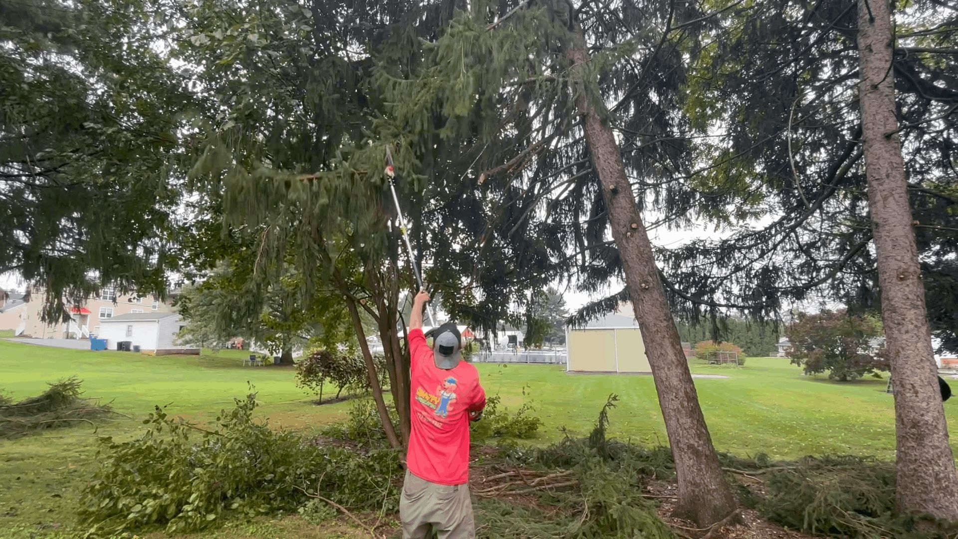 A person is cutting a tree with a chainsaw.