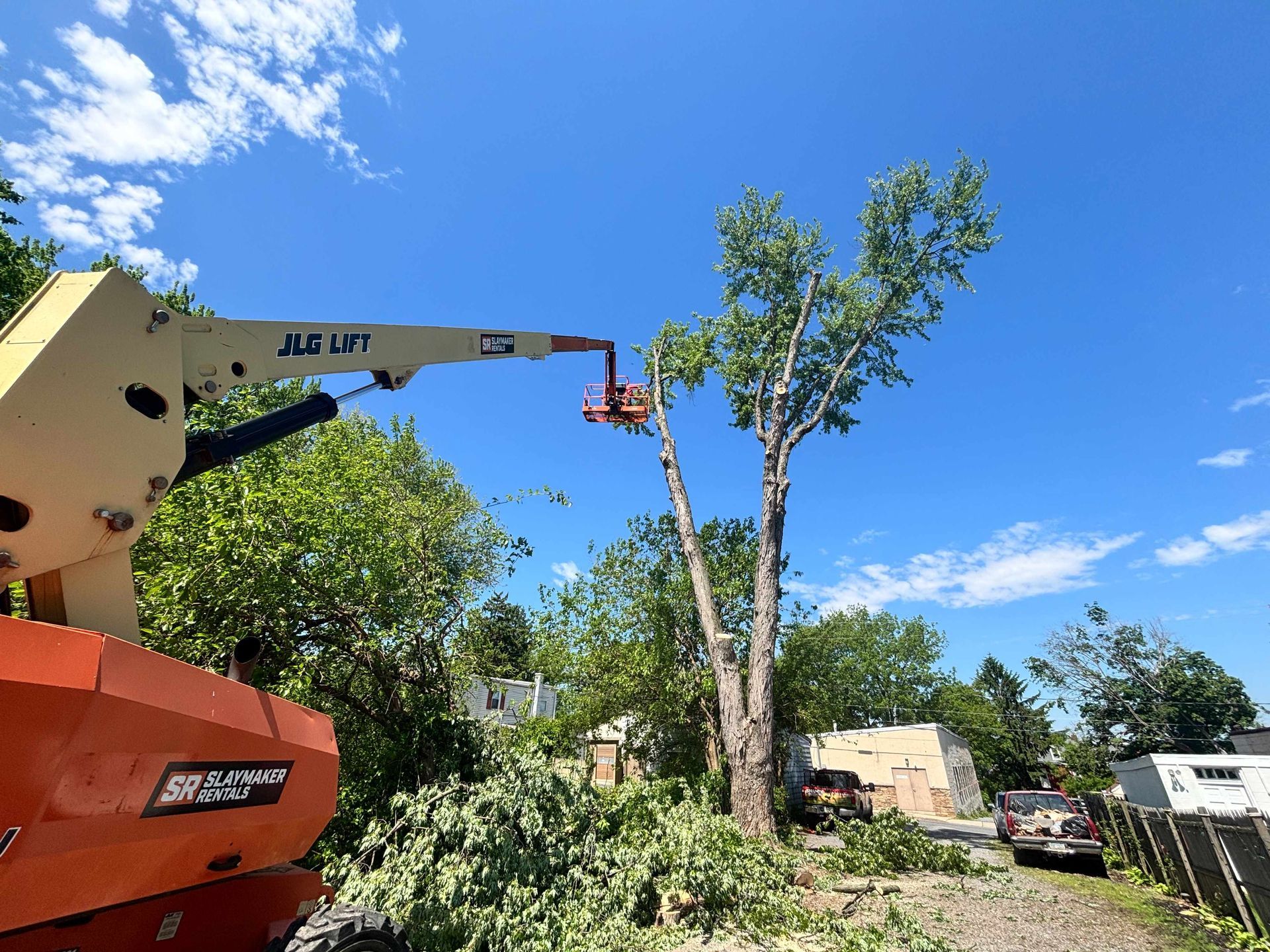 Tree Services Orange boom lift trimming a tall tree beside a fallen branch under a blue sky