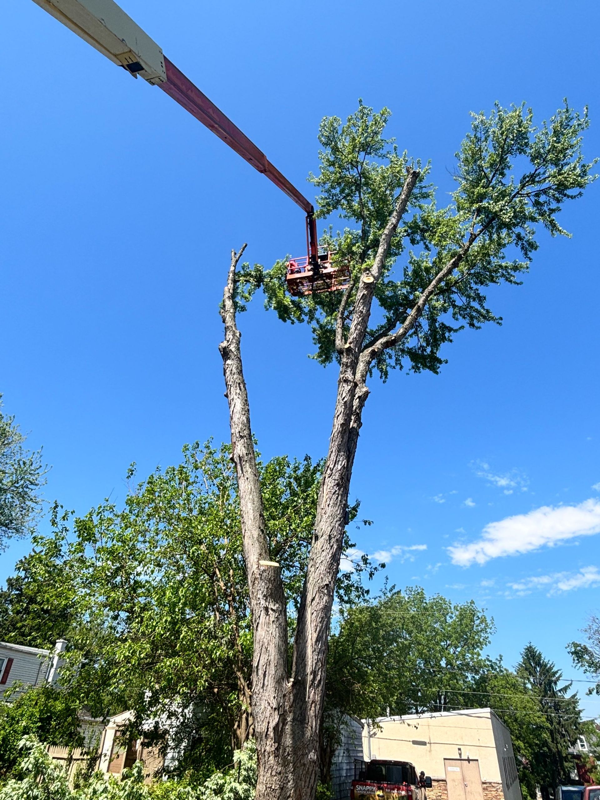 Tree trimming with a crane lifting a cut tree trunk against a blue sky