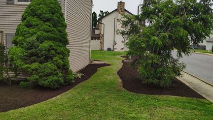 There is a house in the background and a lawn in the foreground.