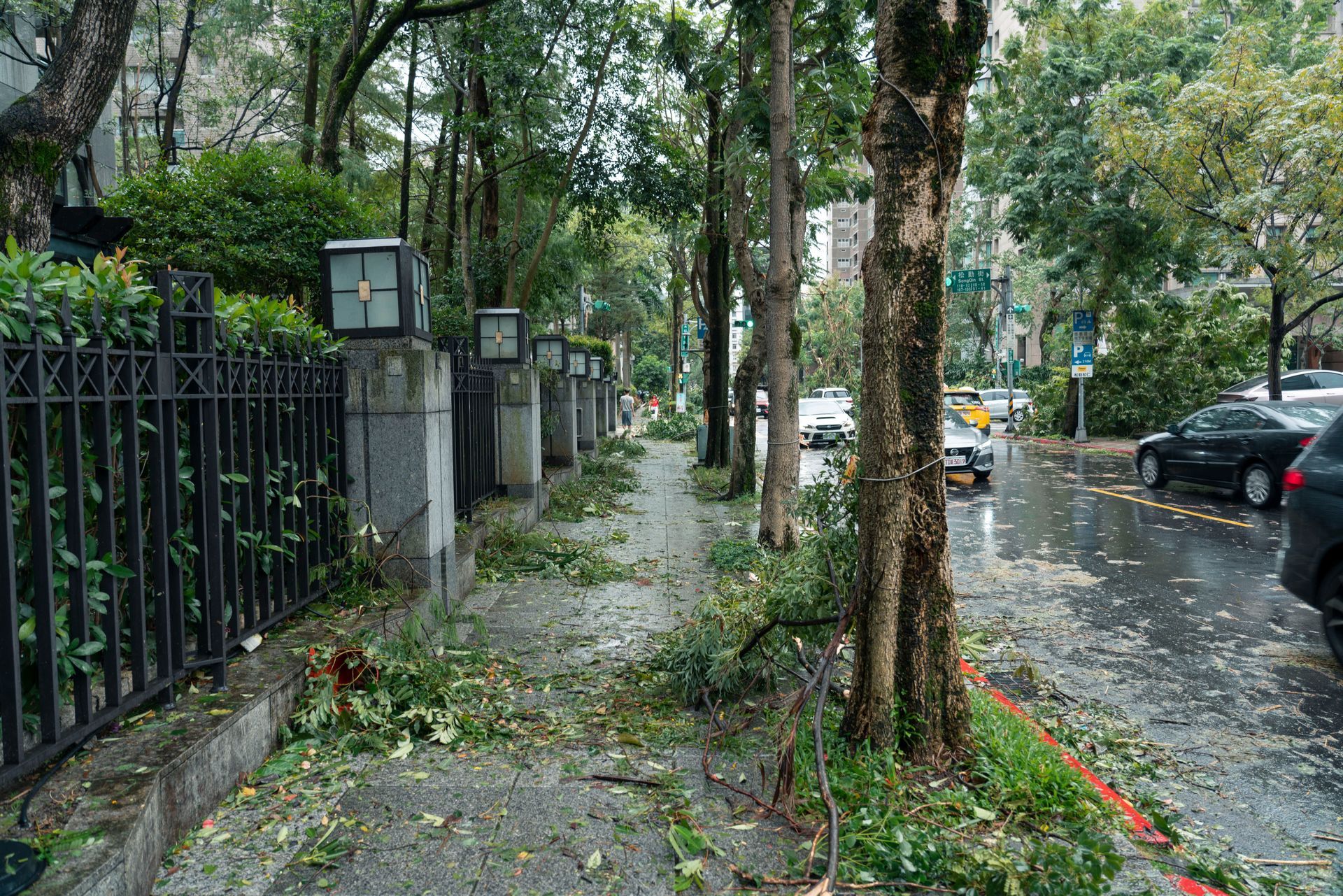 Tree-lined sidewalk with wet pavement, fence, and parked cars after rain