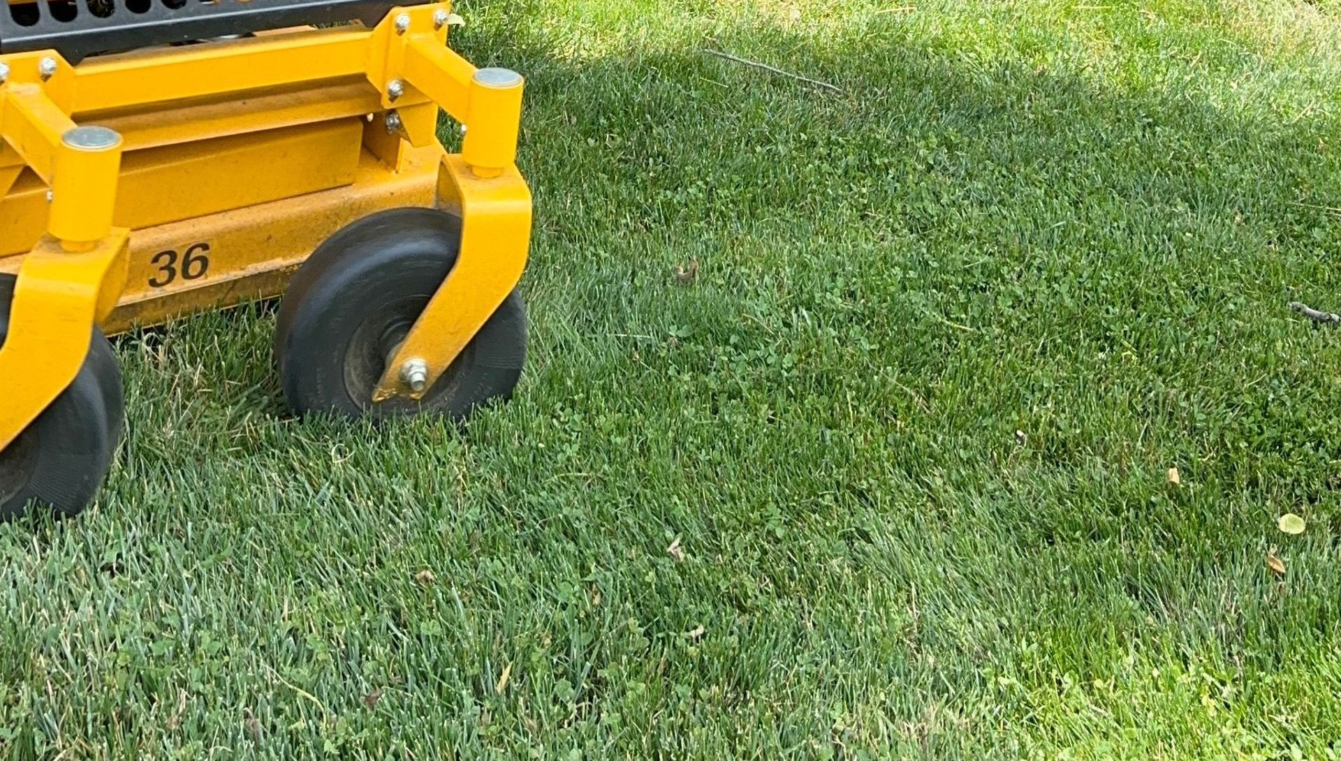 Lawn Care Maintenance