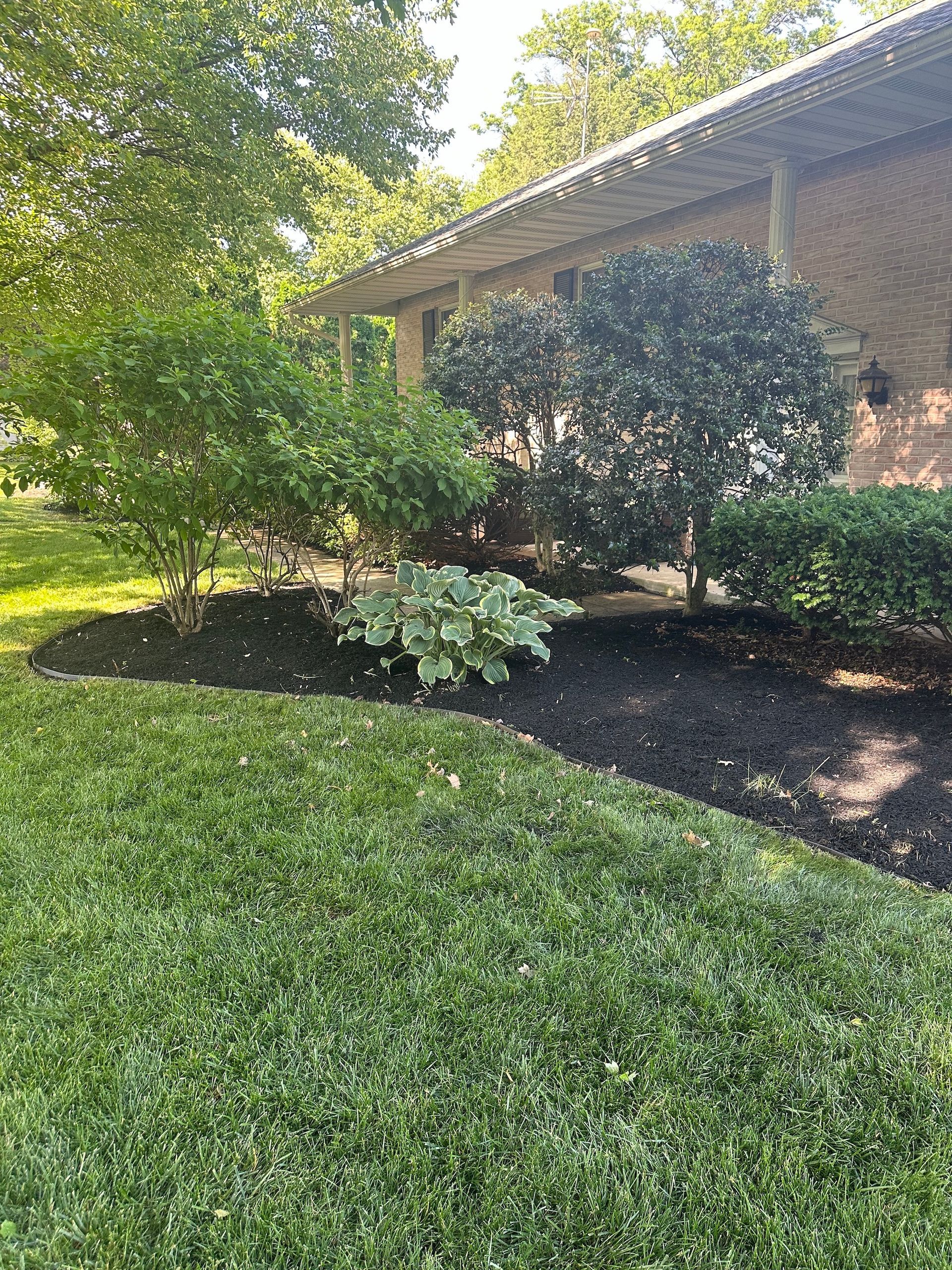 A lush green lawn in front of a house with trees and bushes.