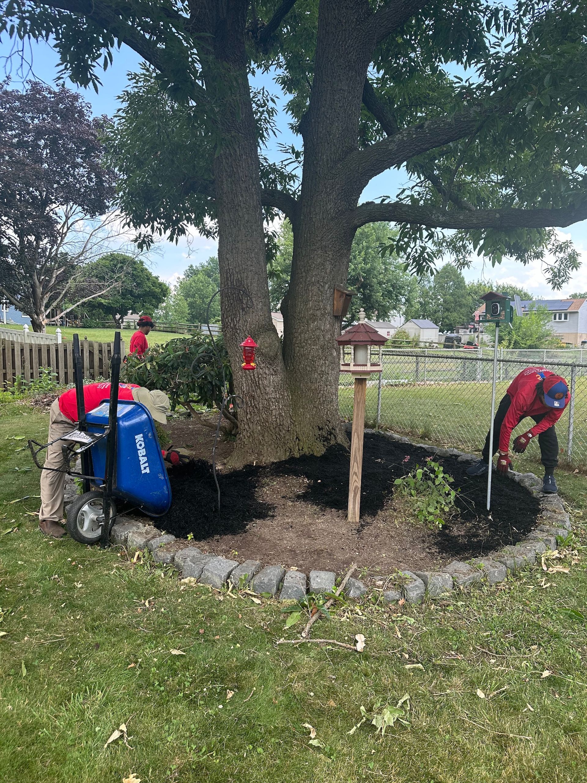 Two men are working in a garden under a tree.