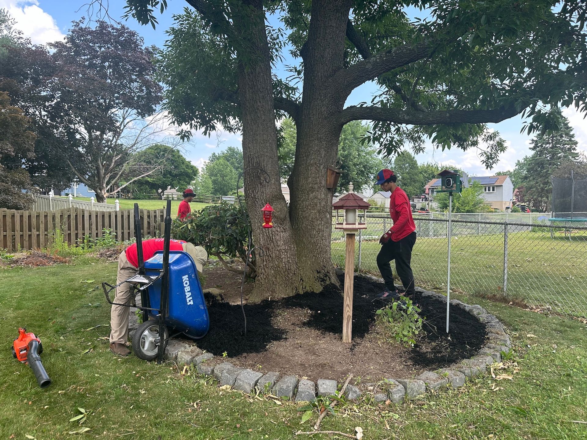 A man is standing next to a tree in a yard.