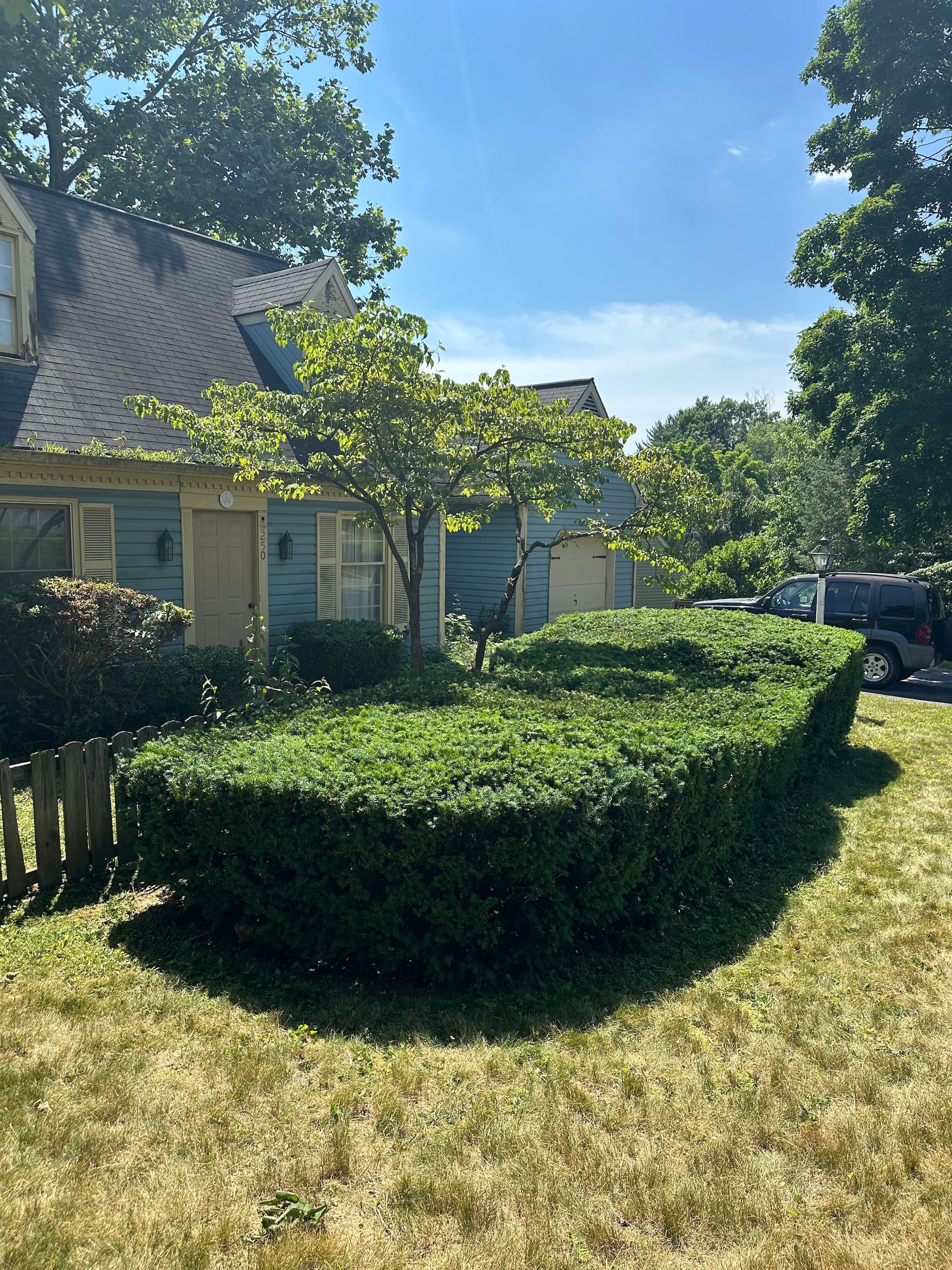 A house with a lot of bushes in front of it