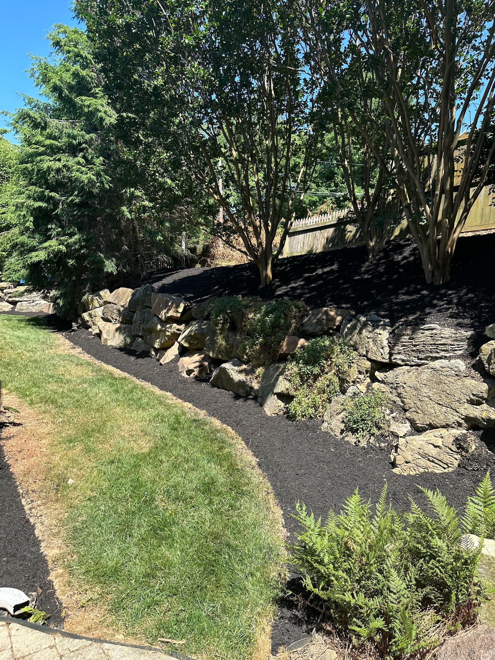 A lush green lawn surrounded by rocks and trees on a sunny day.