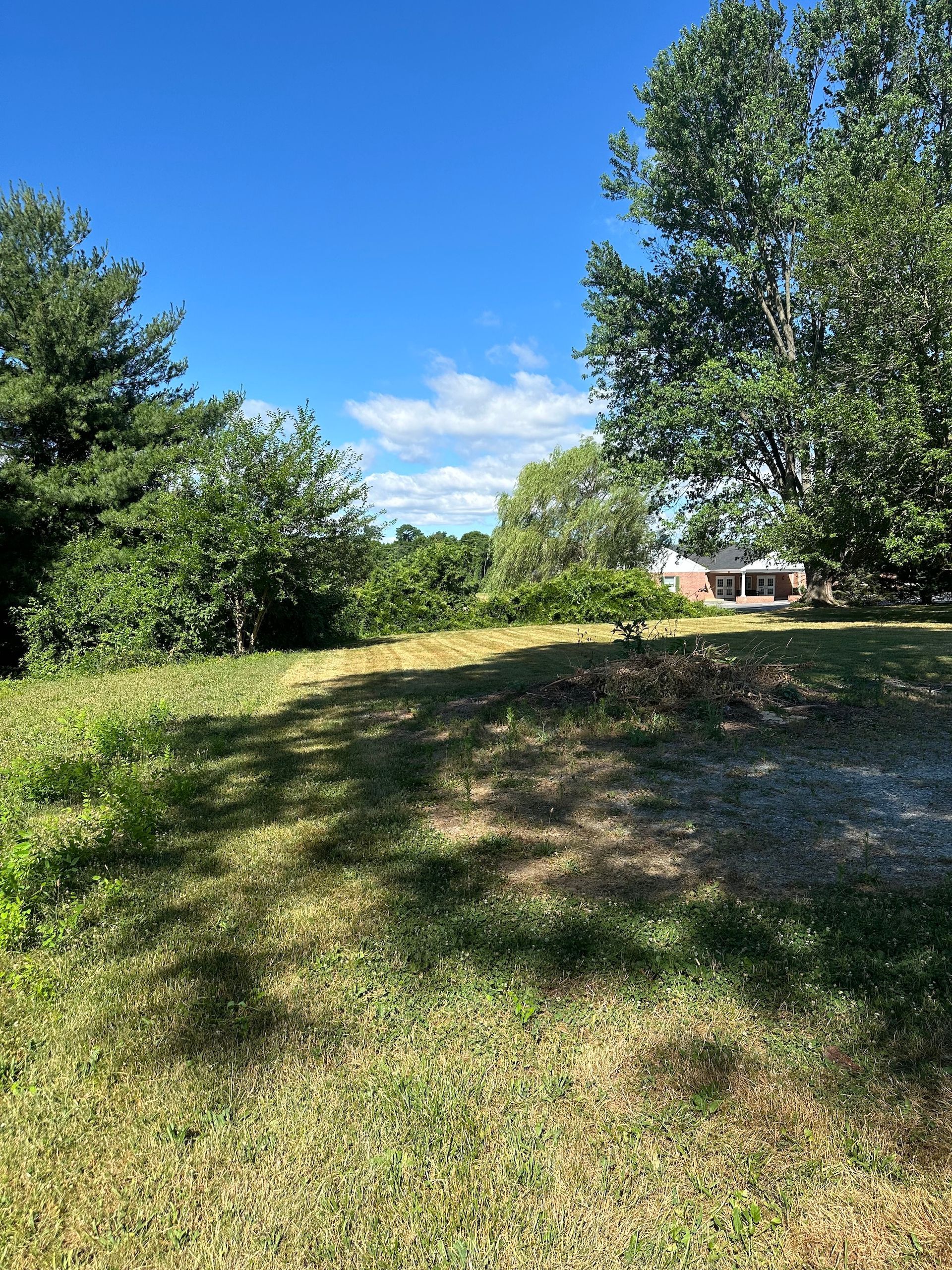 A lush green field with trees and a house in the background.