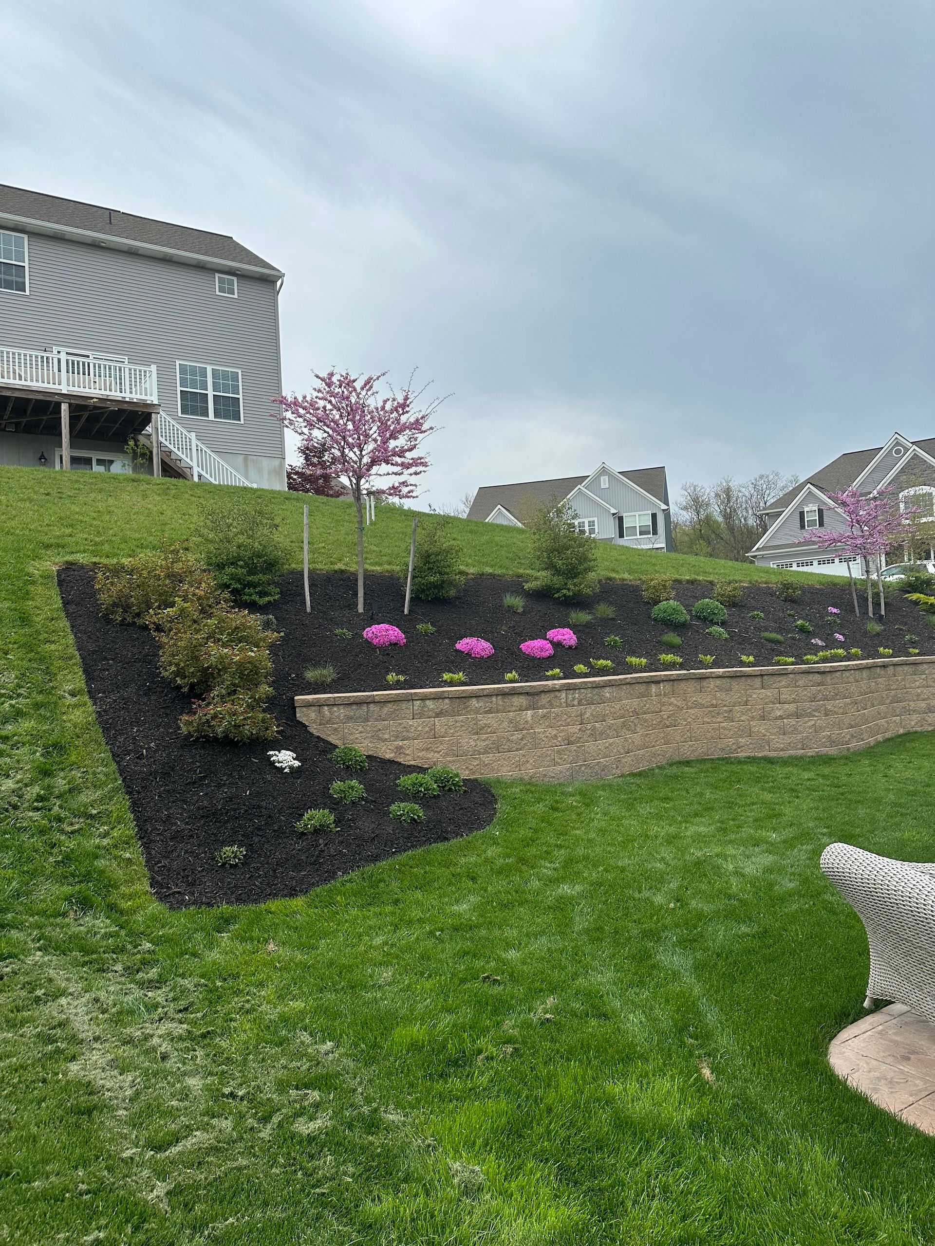 A person is standing in a yard with a house in the background.