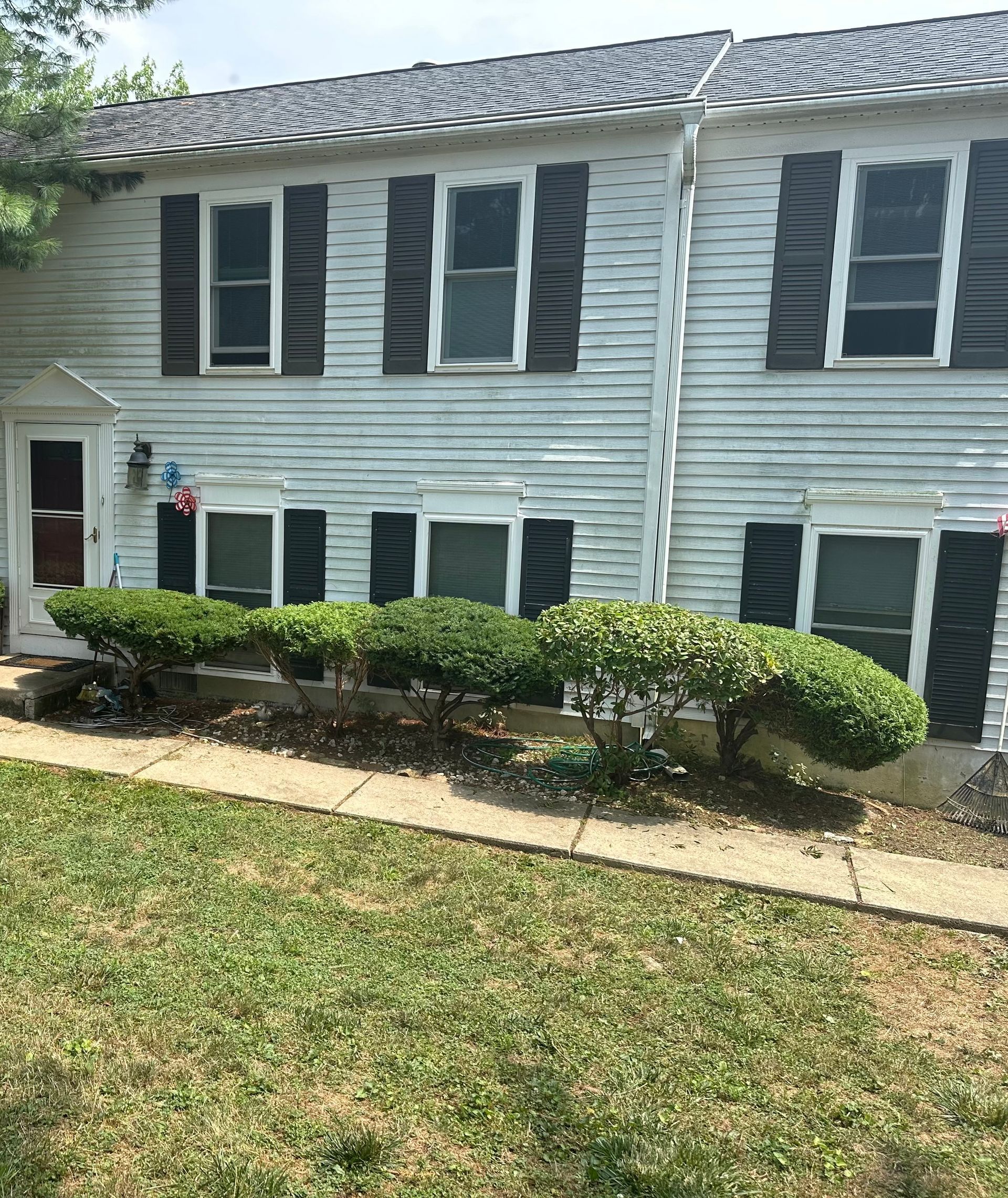 A white house with black shutters and bushes in front of it.