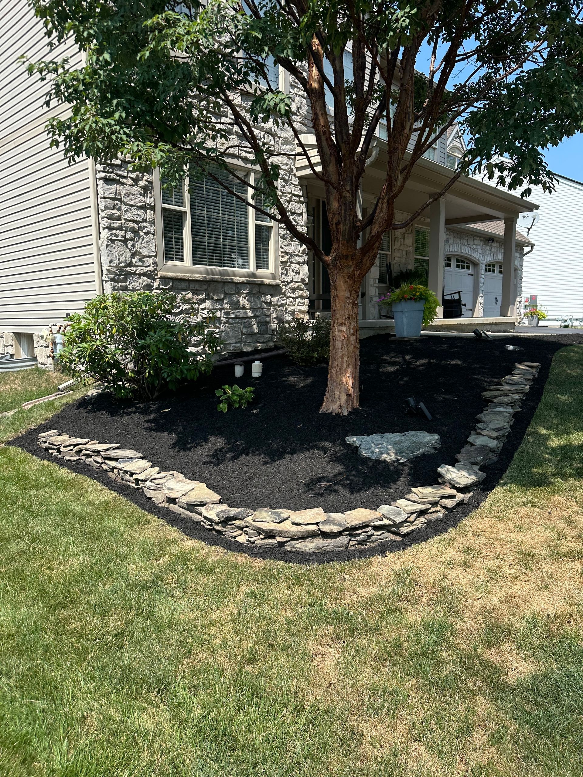 There is a tree in the middle of the yard in front of a house.
