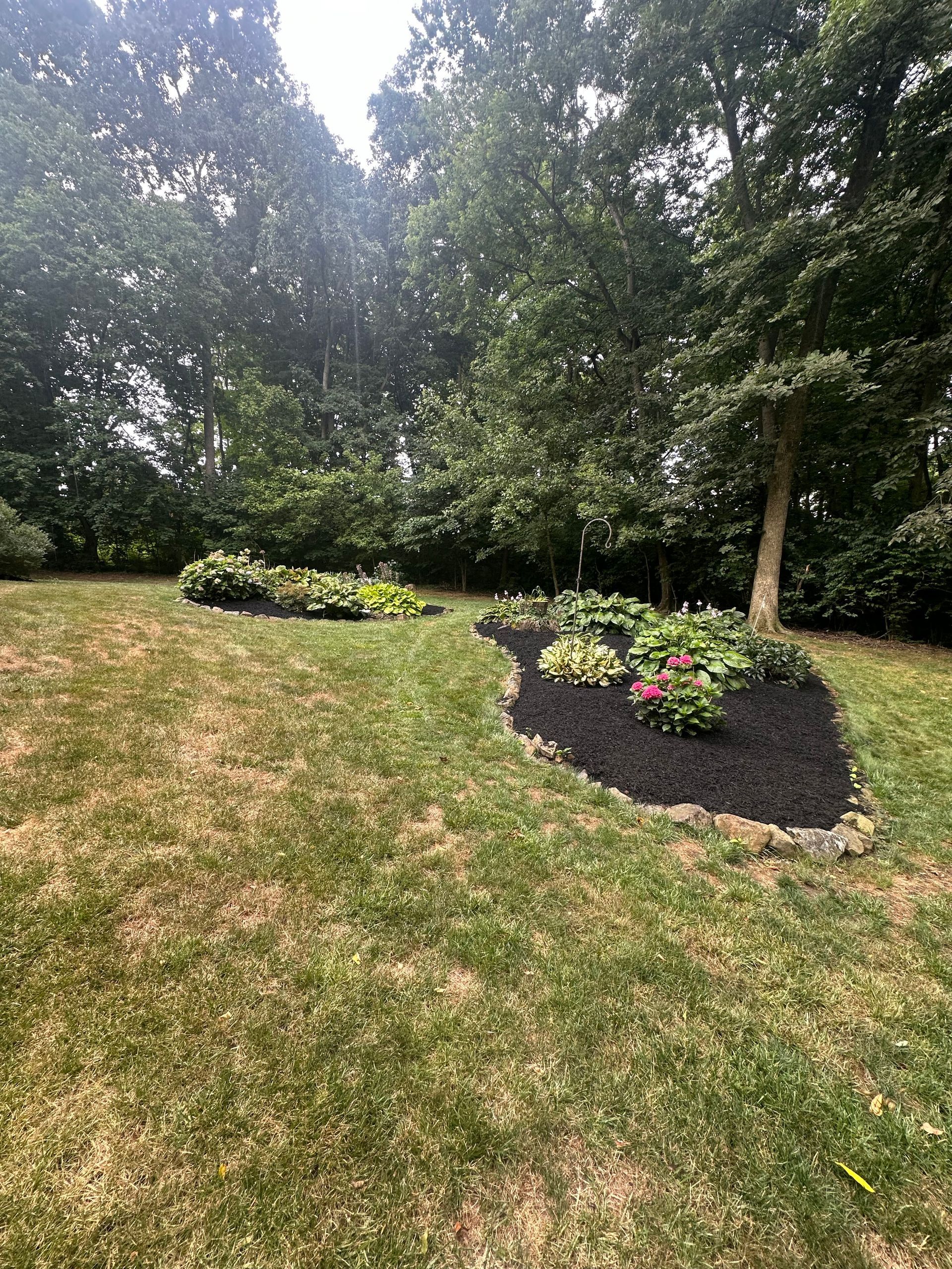 A lush green lawn with flowers and trees in the background.