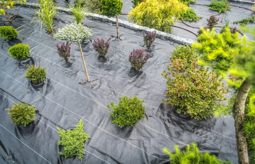 An aerial view of a garden filled with lots of plants.