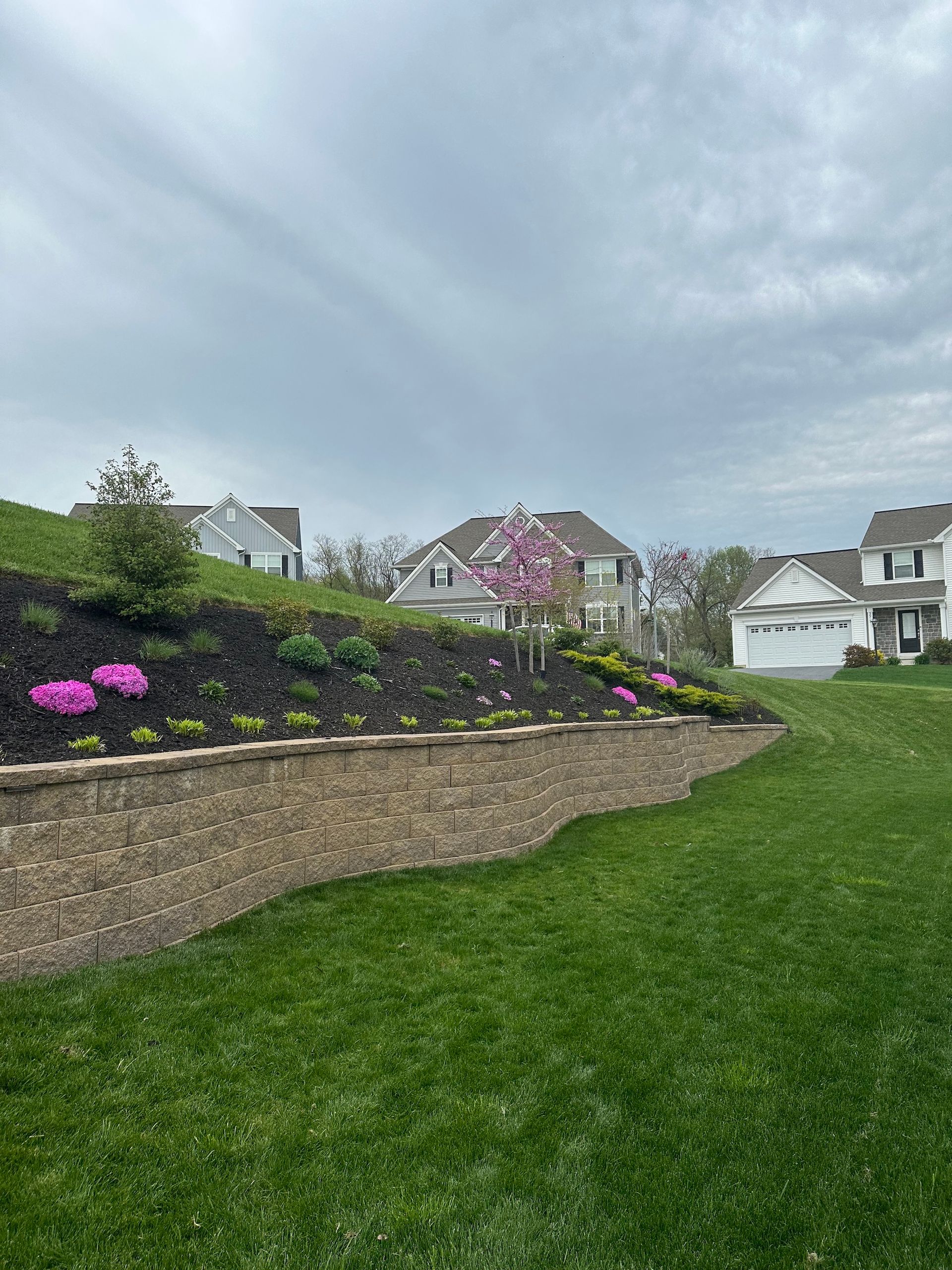 A lush green lawn with a brick wall in the foreground and houses in the background.