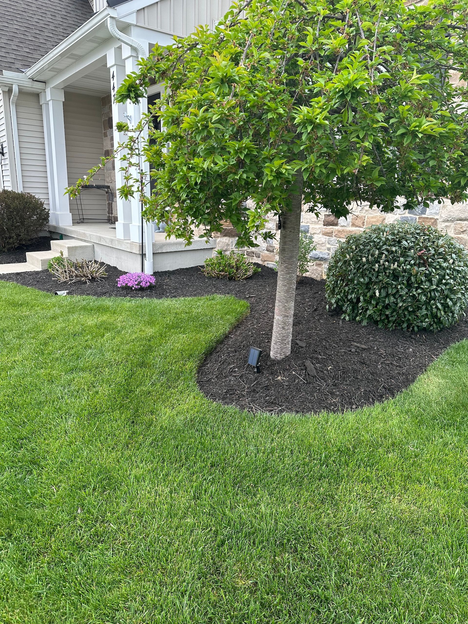 A lush green lawn with a tree in the middle of it in front of a house.