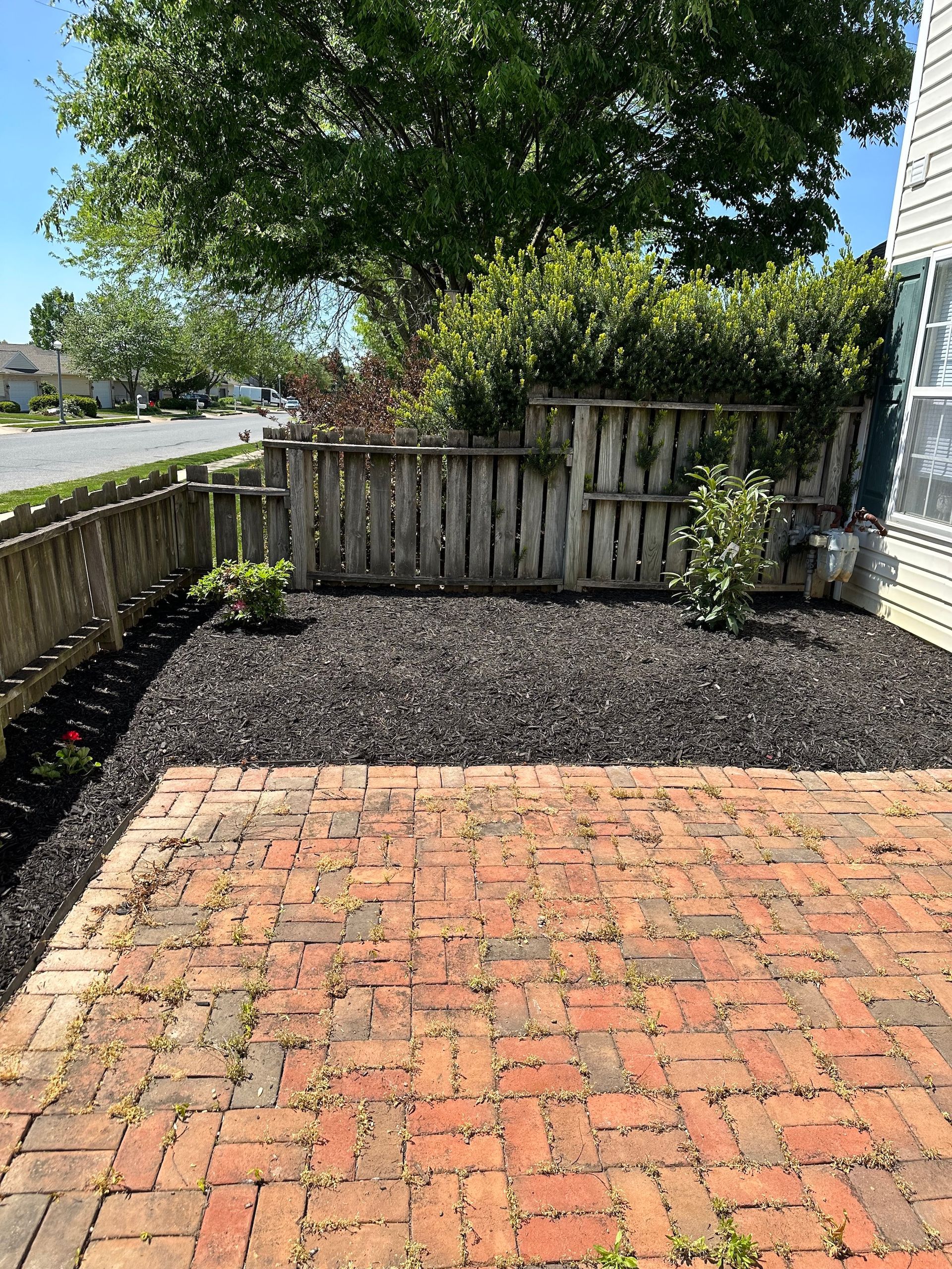A brick patio with a wooden fence and a tree in the background.