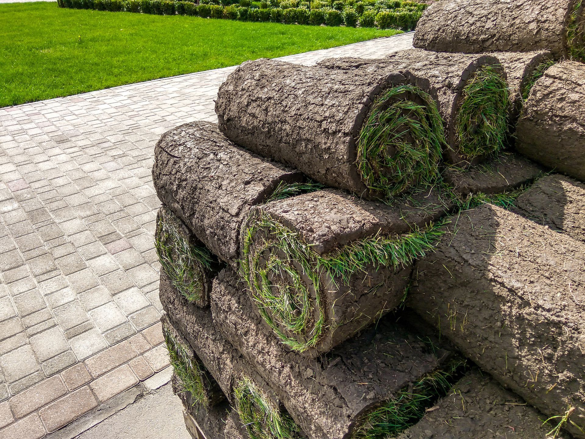 Sod Installation