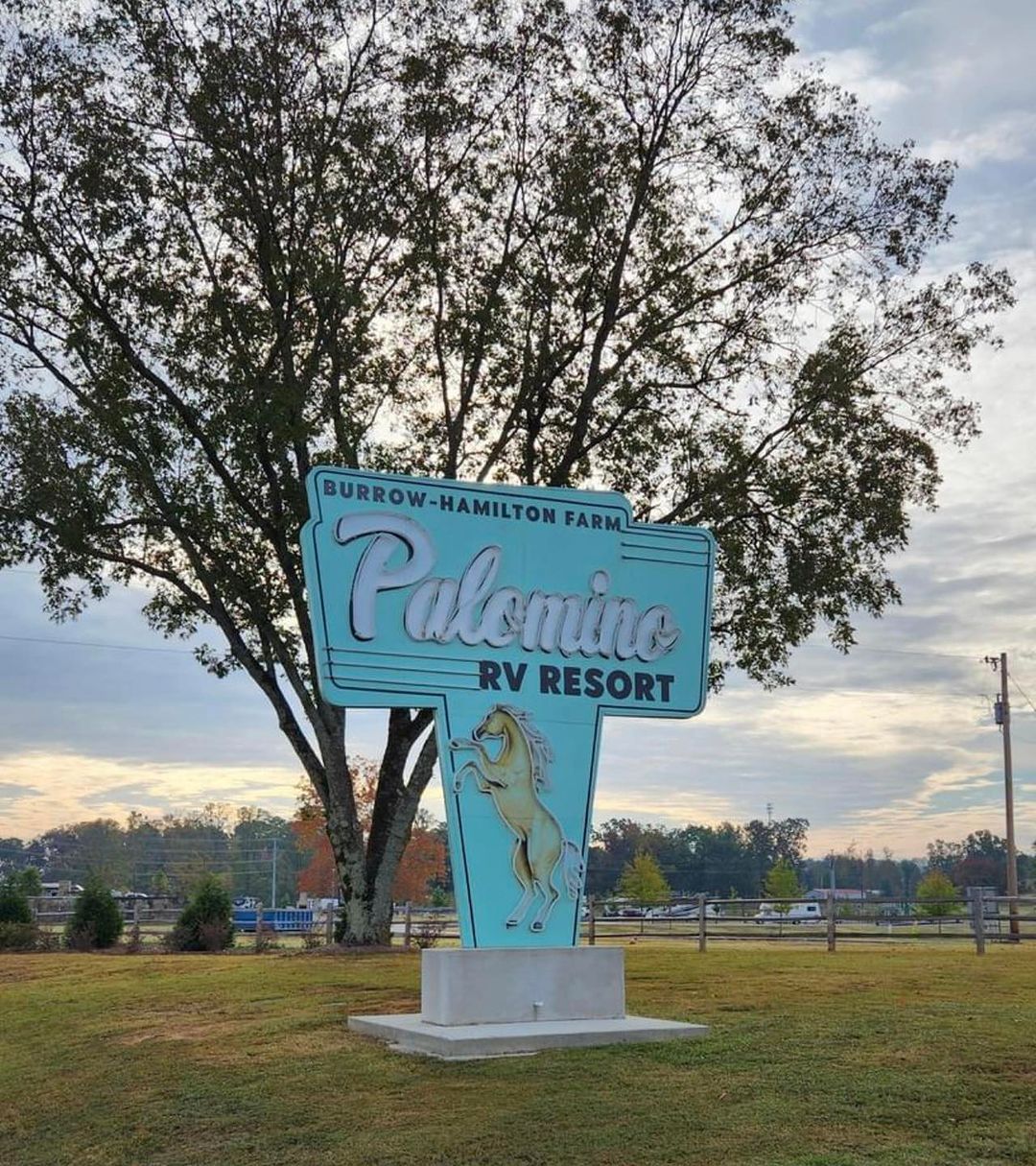 A sign for palomino rv resort with a tree in the background