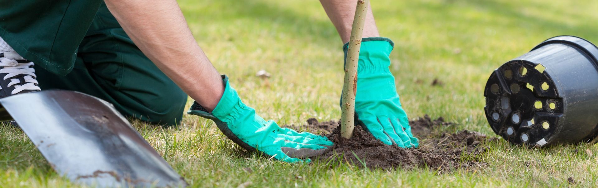 A man learning what a landscaper does.