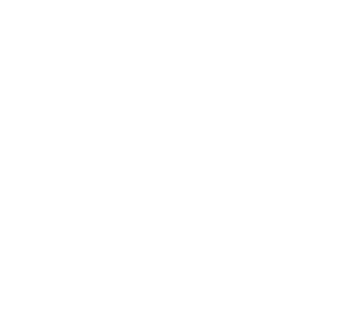 Spinning Image