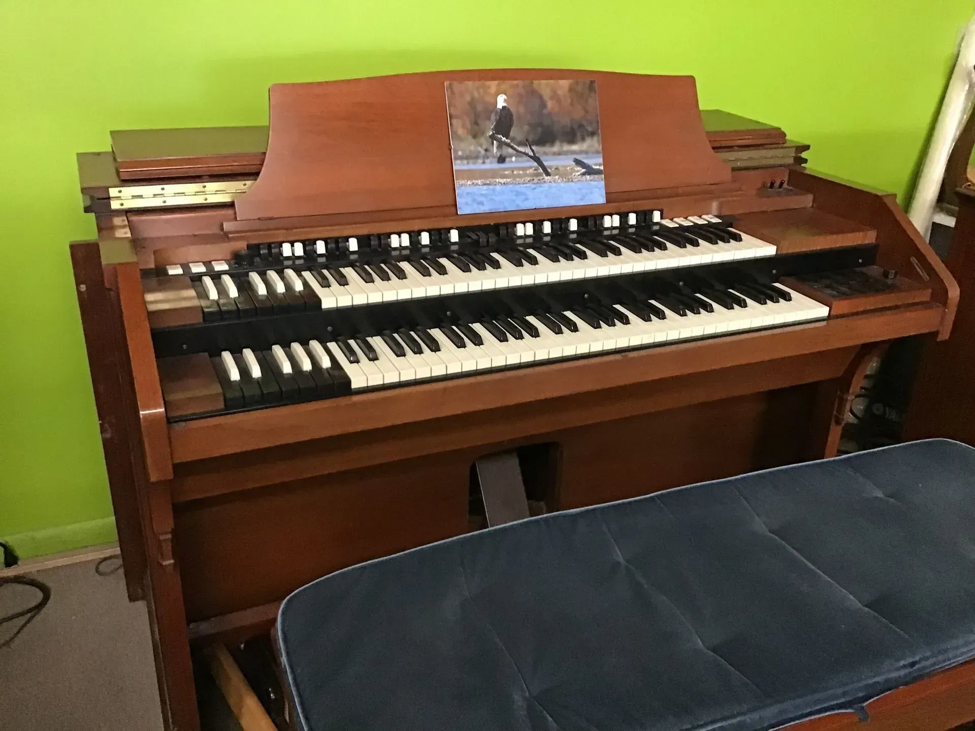 An organ with a picture of a bird on top of it