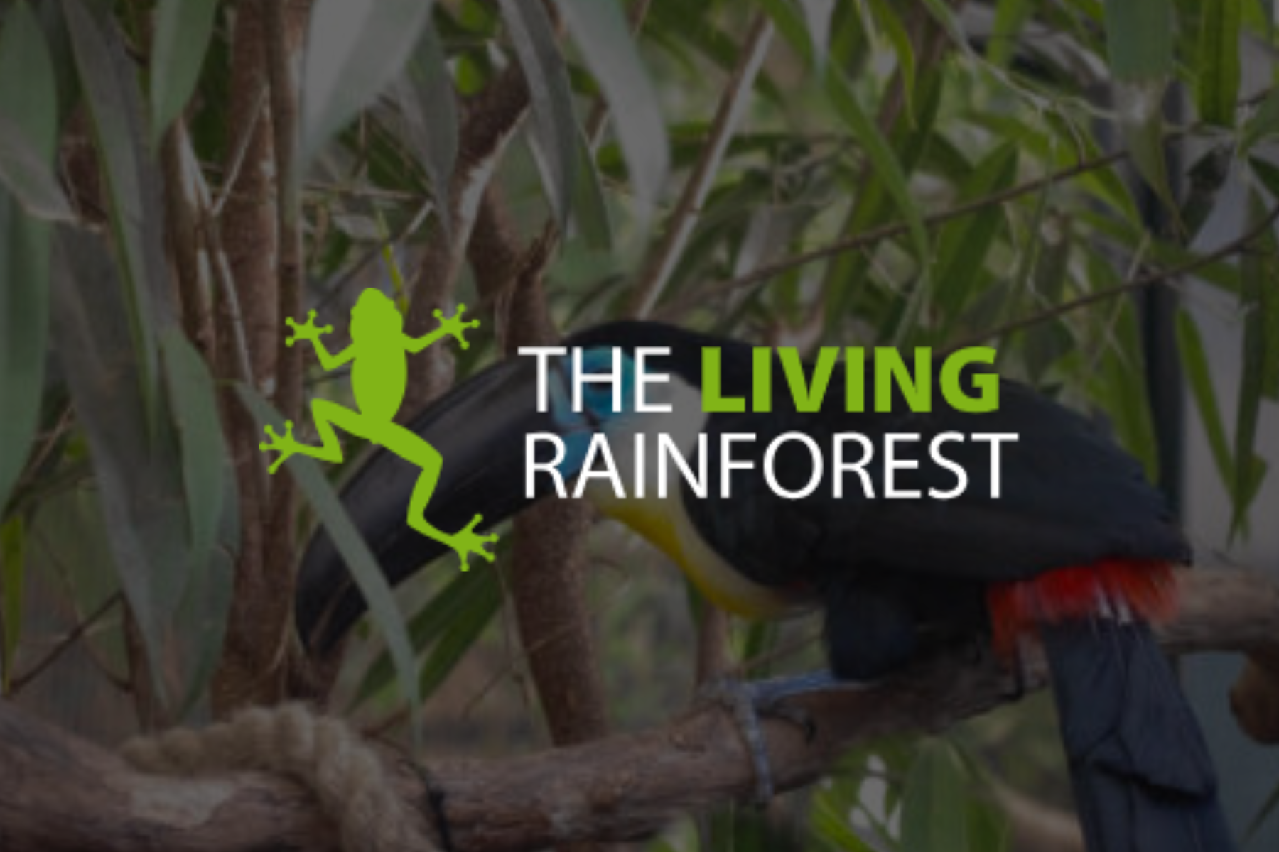 a person is pouring liquid into a glass with a wooden spoon. Hfoster ingredients