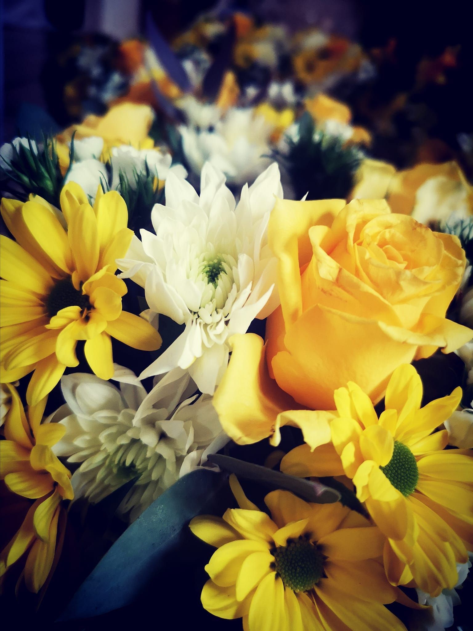 Primo piano di un bouquet composto da rose gialle brillanti e margherite bianche su uno sfondo scuro e leggermente sfocato.