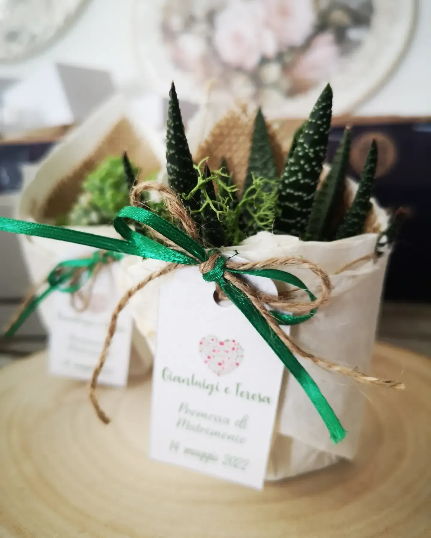 Due piccole piante grasse avvolte in tela di iuta e tessuto bianco, decorate con nastri verdi e bigliettini personalizzati per le bomboniere.