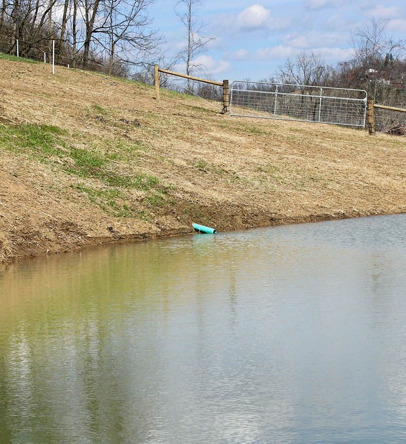 A small pond with a wooden fence surrounding it