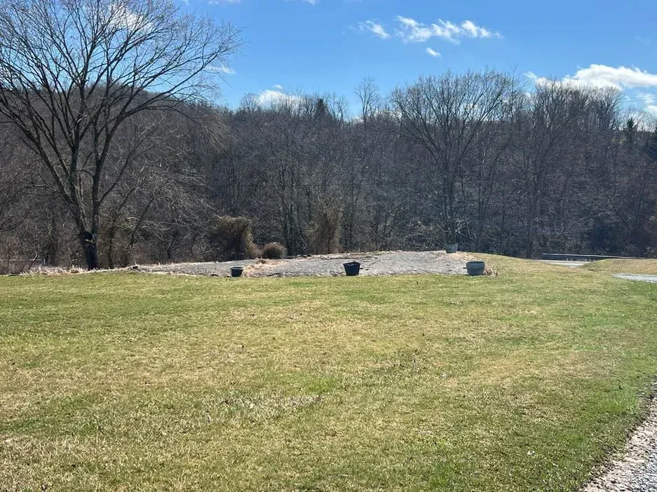 A large grassy field with trees in the background on a sunny day.