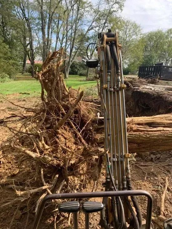A large pile of tree roots is sitting next to a large excavator.