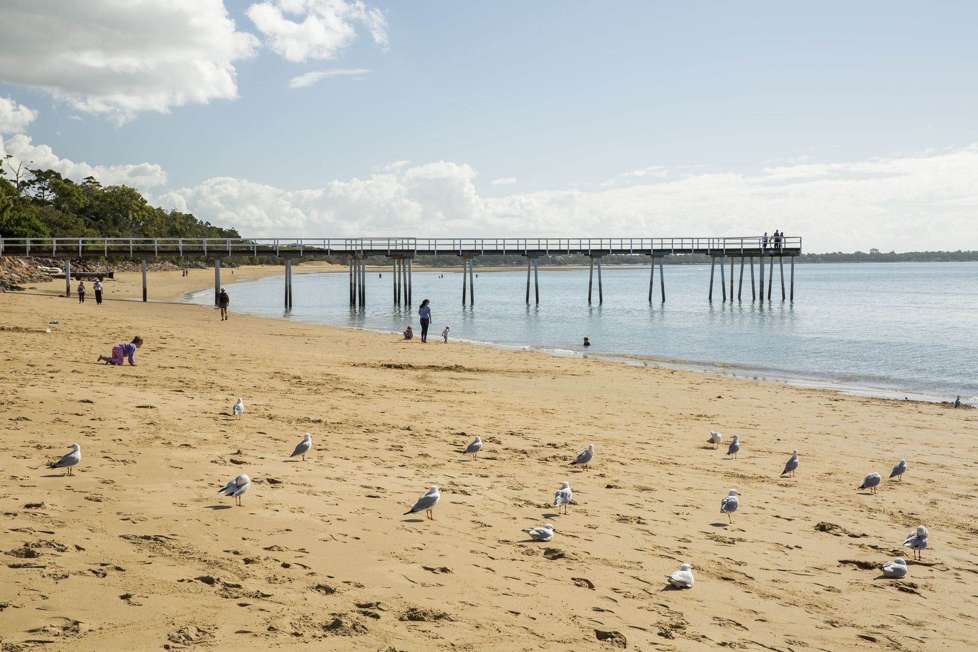 Beach Scene With Pier, Seagulls on Sand — R&B Automotive PTY LTD In Toogoom, QLD