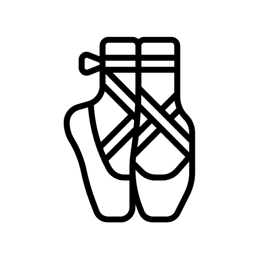 A pair of pointe shoes with laces on a white background.