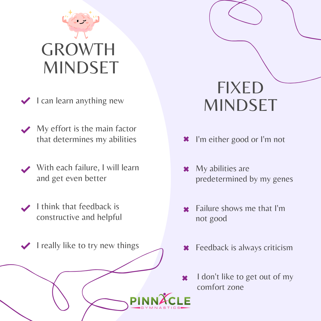 Growth Mindset Versus Fixed Mindset