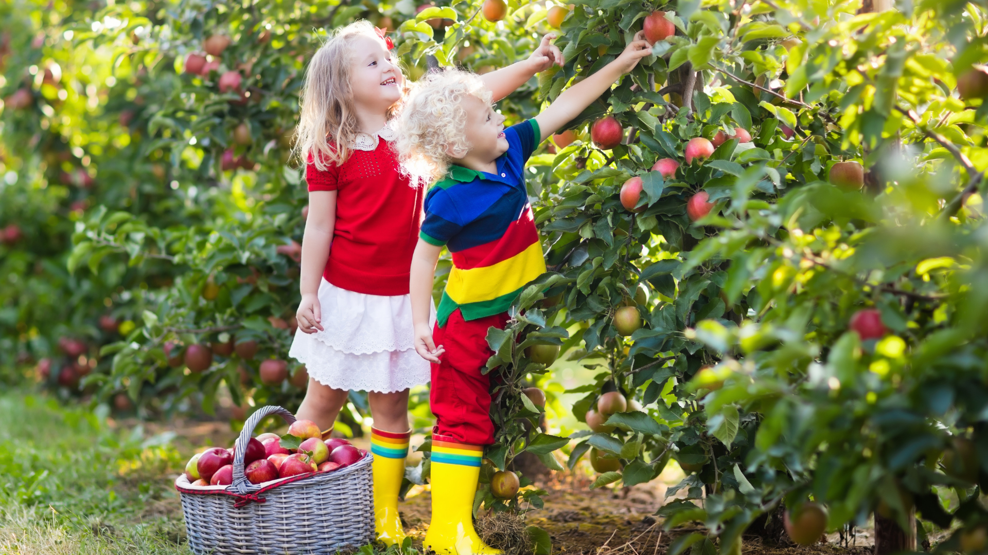 a boy and girl in bright clothing picking apples