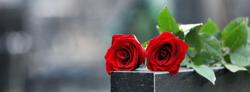 Close up of two red roses on a headstone 