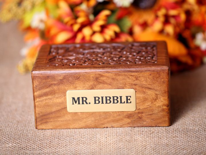 Private Pet Cremation: Honoring the Animals Who Feel Like Family
