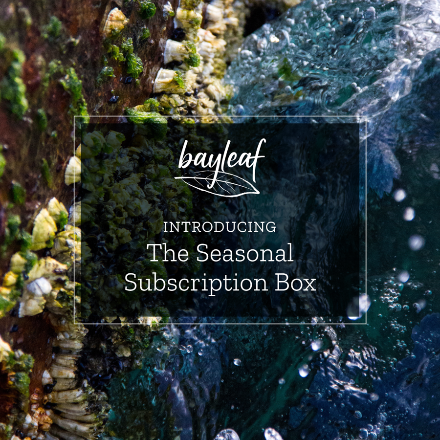 bayleaf is introducing the seasonal subscription box .