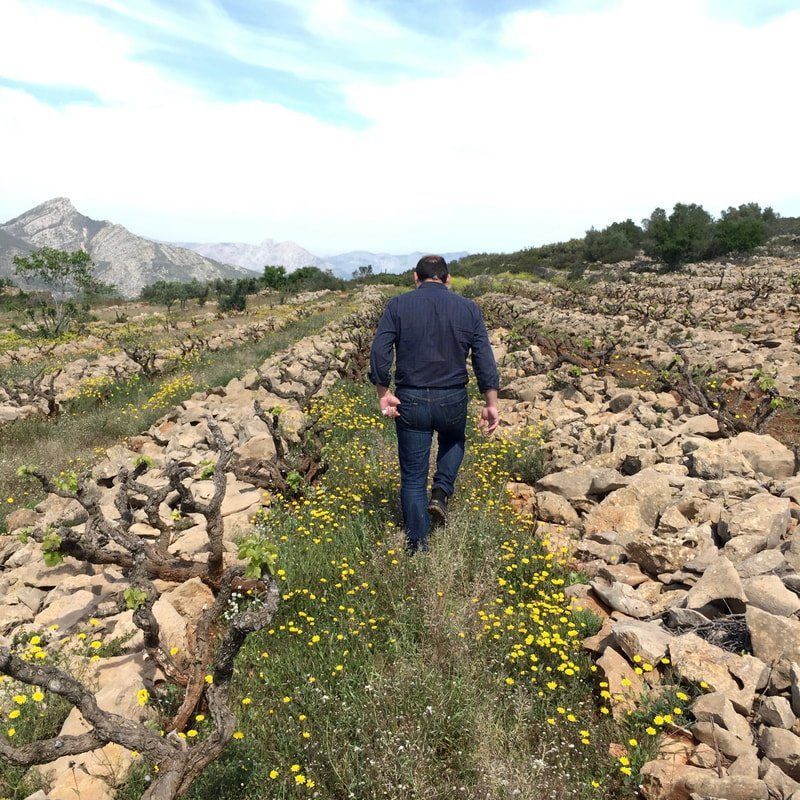 a man is walking through a field of flowers and rocks .