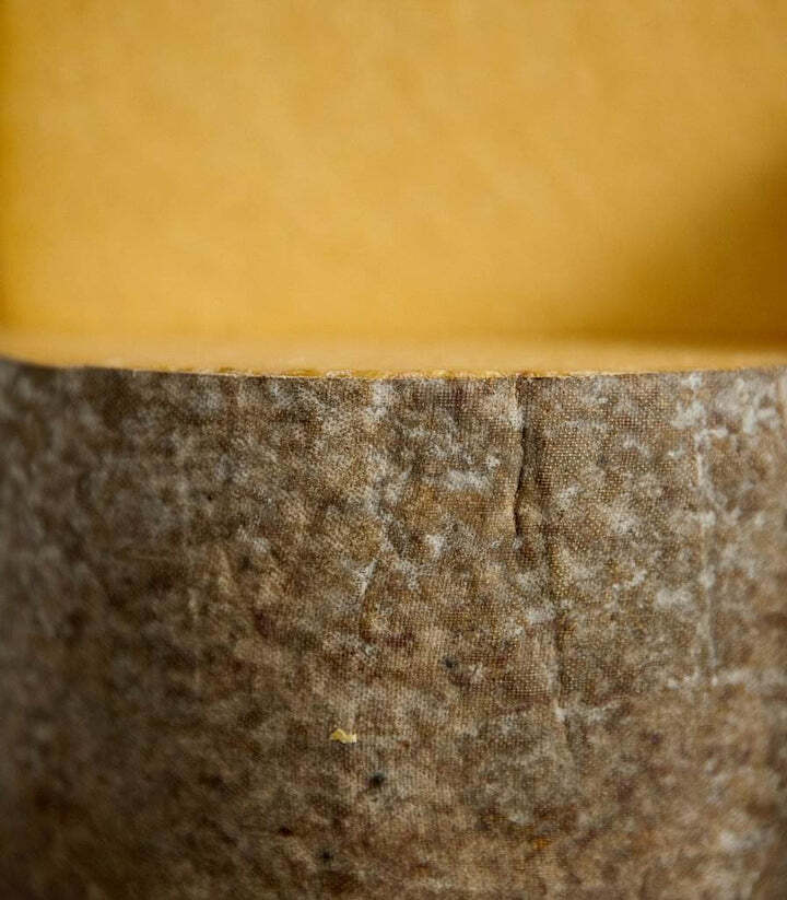 a close up of a piece of cheese on a table .