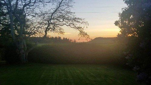 the sun is setting over a field with trees in the foreground .