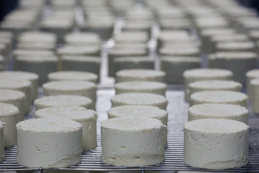 a bunch of white cheese sitting on top of a metal rack .