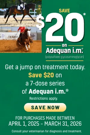 Save $20 on Adequan I.M.