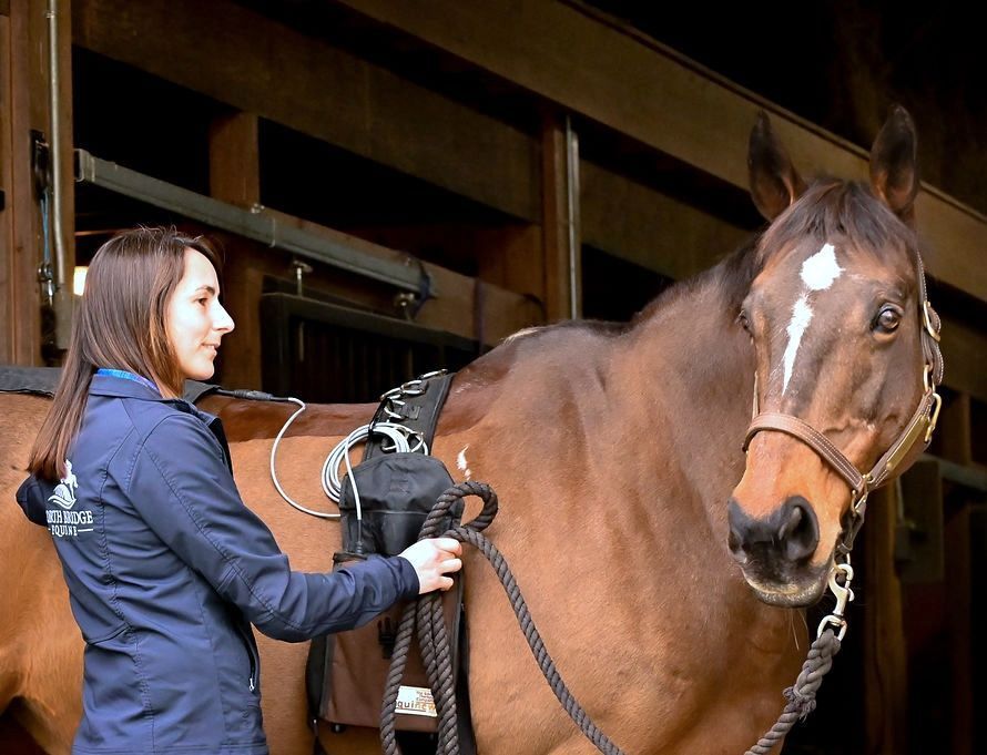 FES - Functional Electric Stimulation