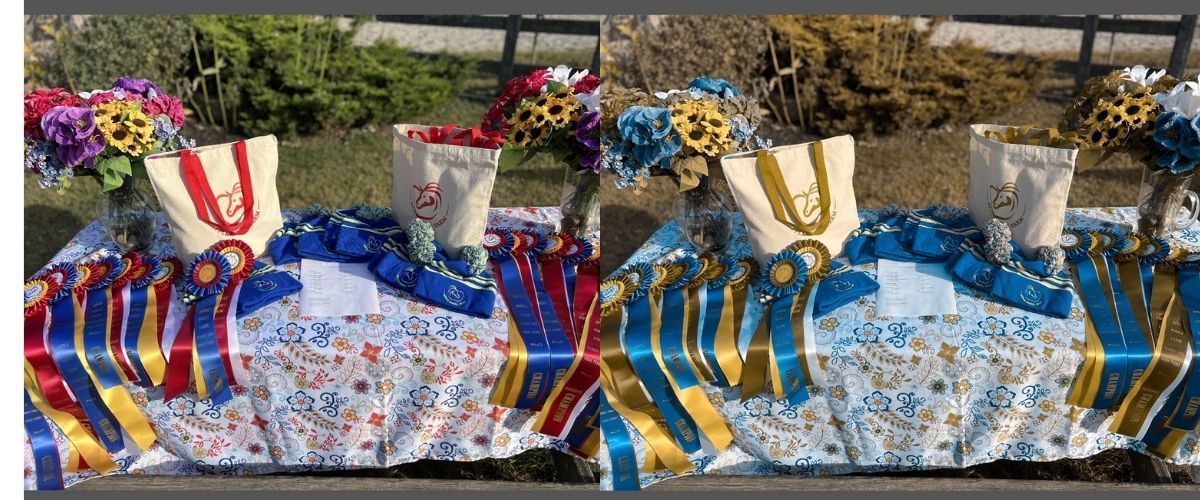 Side by side comparison of normal human color vision vs. color vision in horses