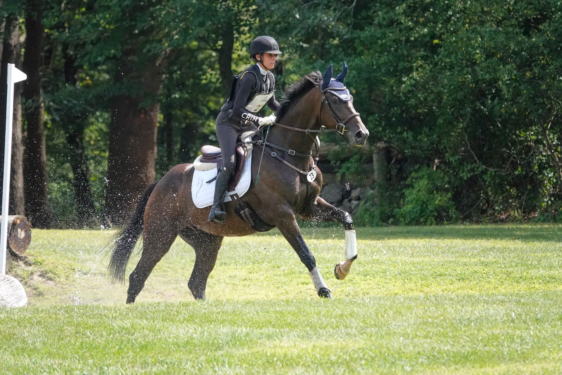 Sponsored riders Julia Grella and Adrienne Iorio update us on their Retired Racehorse Project horses