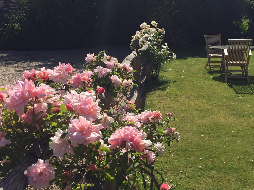 Crown Inn beer garden