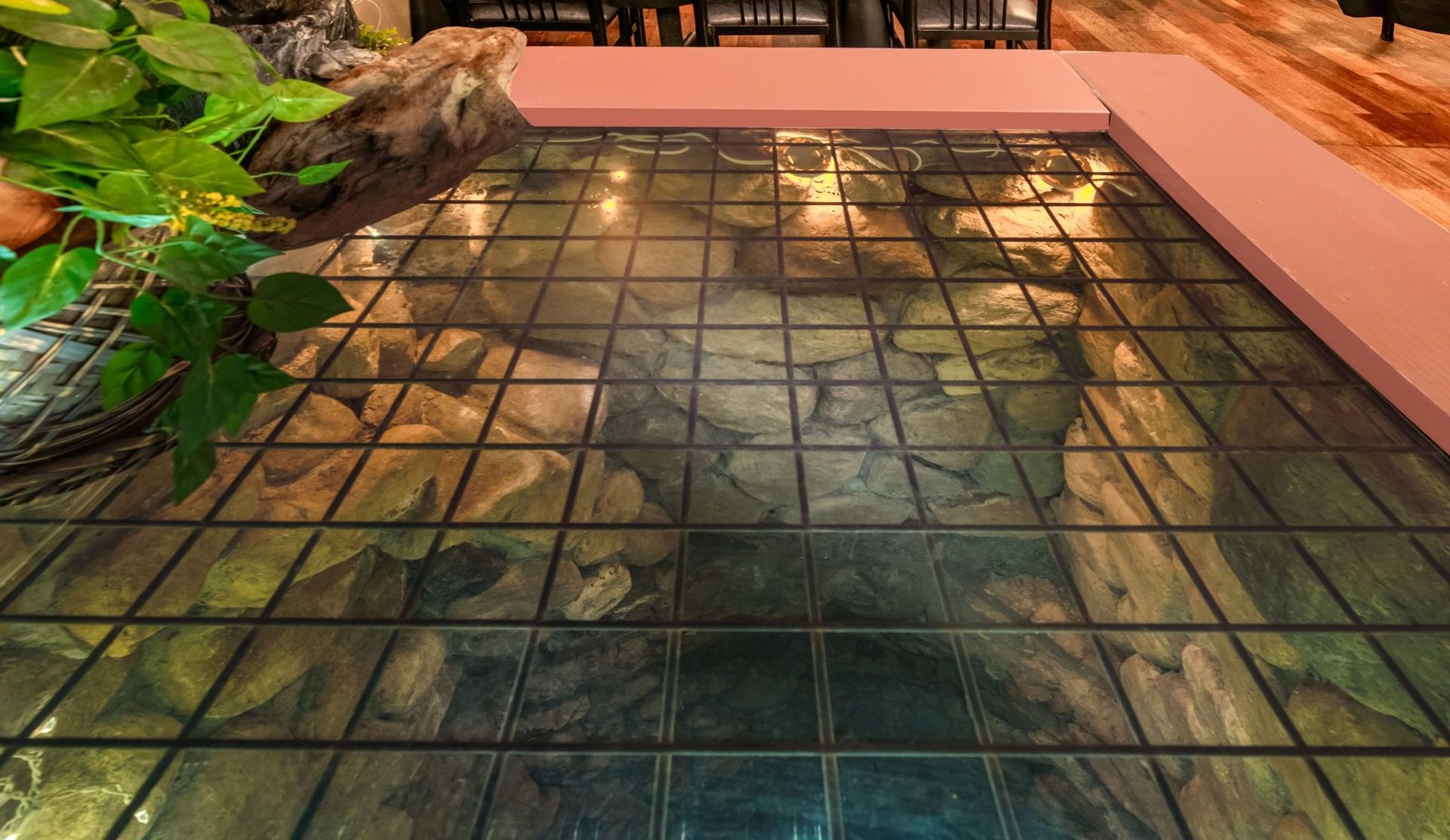A tiled floor with a picture of a rocky area on it.